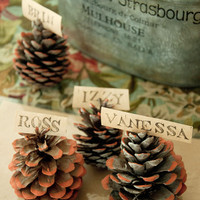Harvest Affaire Pinecone Place Cards Project