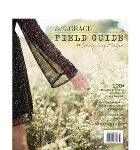 Field Guide to Everyday Magic Issue 12 Field Guide to Everyday Magic Issue 12
