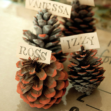 Harvest Affaire Pinecone Place Cards Project