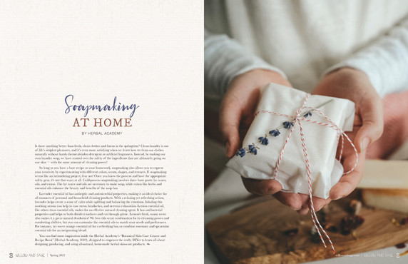 The Natural Home Issue Volume 2 Instant Download