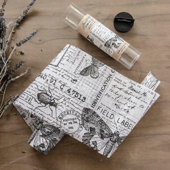 Tim Holtz Idea-ology Collage Paper Entomology