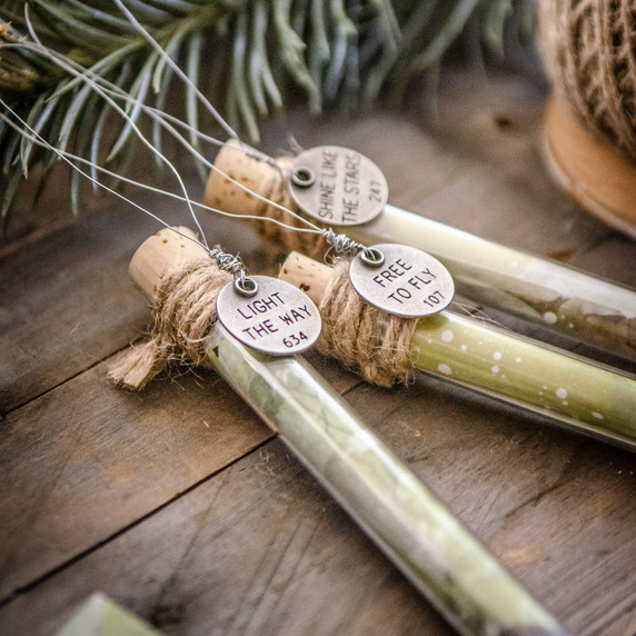 Token for Your Thoughts Test Tube Holiday Ornaments