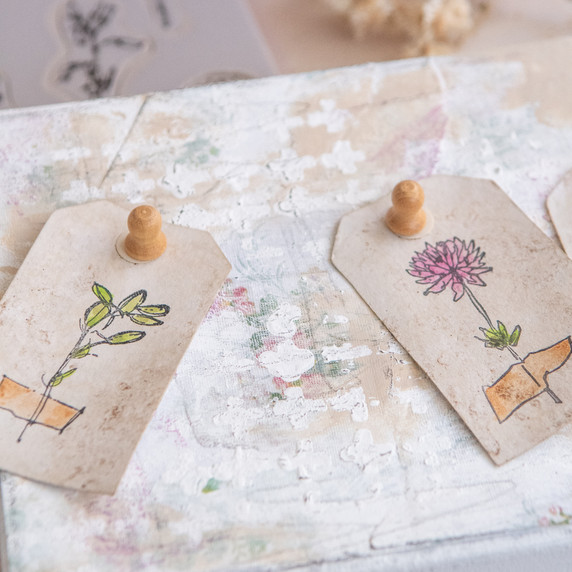 DIY Forgotten Garden Specimen Board Project