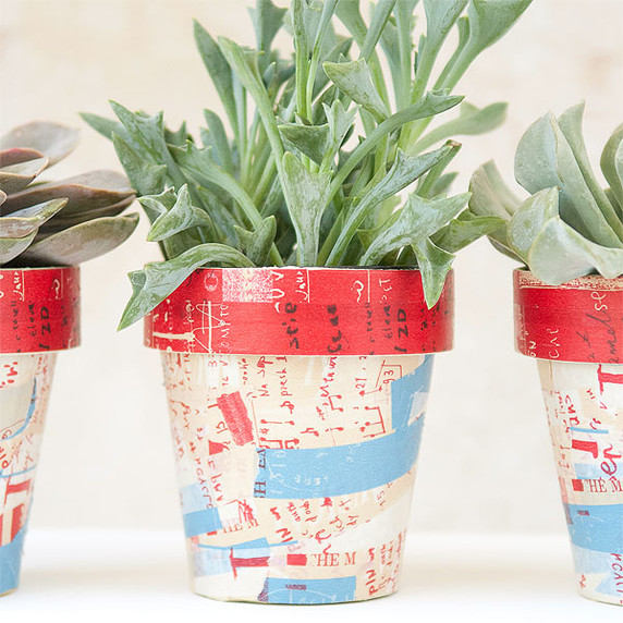 Graffiti Succulent Pots Project