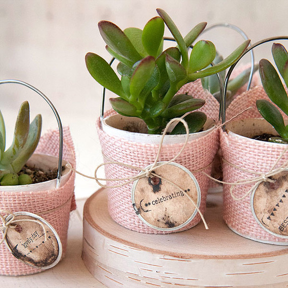 Rustic Burlap Succulent Favors