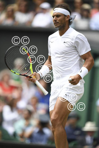 37958232-Rafael Nadal Wimbledon Tennis Day Picture by Andy Hooper Daily  Mail