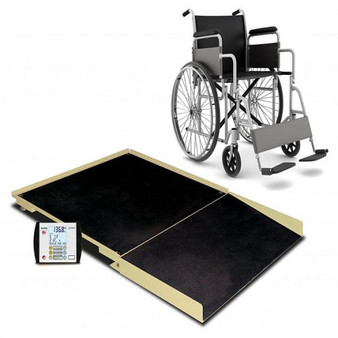 Floor Scale, 4' x 4', 1000 Lb Capacity, Ramp, MV1 Indicator