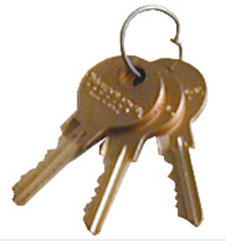 REPLACEMENT FLAT KEY LOCK OF REFRI BOX (2 KEYS)