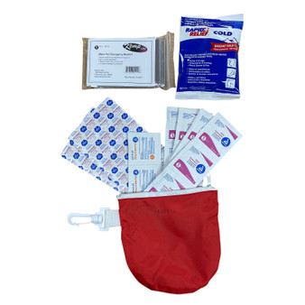 Personal / Promotional Mini First Aid Kit