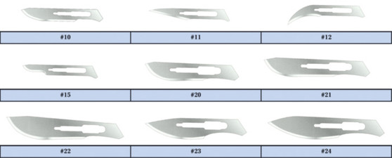 BLADES FEATHER #10 100/BX FEATHER