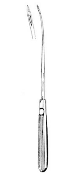 AWL, ORAL, SURGICAL, 24.5CM, STAINLESS, EA
