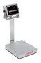 Bench Scale, Electronic, 24" x 20", 300 Lb Capacity, Stainless Steel, 205 Indicator