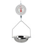 Hanging Dial Scale, 20 Lb Capacity, Fish Pan, Double Dial
