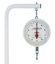 Hanging Dial Scale, 20 Lb Capacity, Fish Pan, Double Dial