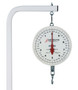 Hanging Dial Scale, 40 Lb Capacity, Scoop, Double Dial