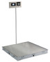 In-Floor Dialysis Scale, 36"x36" SS Deck, Hand Rail, 855 Recessed Wall-Mount Indicator w/ Printer