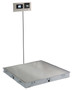 In-Floor Dialysis Scale, 48"x36" SS Deck, 855 Recessed Wall-Mount Indicator w/ Printer