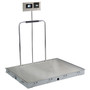 In-Floor Dialysis Scale, 48"x36" SS Deck, Hand Rail, 855 Recessed Wall-Mount Indicator w/ Printer