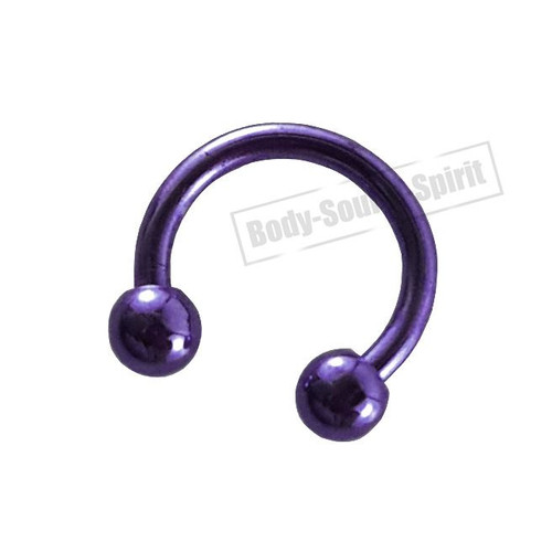 Circular Purple Horseshoe 8mm  EAR EYE Lip Barbell round Ring NIPPLE Jewelry