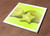 Ceramic Hot Plate kitchen Trivet Holder fruits star carambola health nature