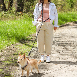 Hands Free Rope Leash Hands Free Rope Leash