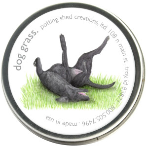 Garden Sprinkles Dog Grass Garden Sprinkles Dog Grass