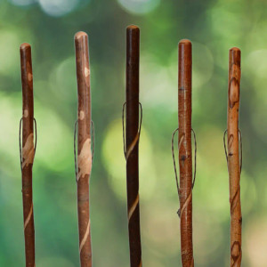 Wild Wood Twisted Hiker - Hiking Stick Wild Wood Twisted Hiker - Hiking Stick