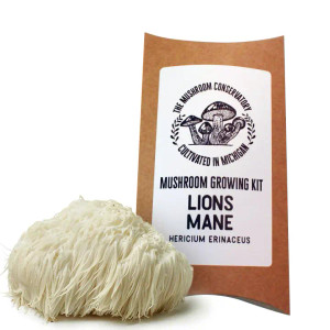 Lions Mane Gourmet Mushroom Growing Kit Lions Mane Gourmet Mushroom Growing Kit