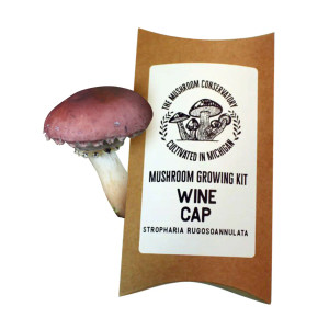 Wine Cap Gourmet Mushroom Grow Kit - the Gardener's Mushroom Wine Cap Gourmet Mushroom Grow Kit - the Gardener's Mushroom