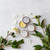 Whispering Willow Hand & Cuticle Eucalyptus & Mint Salve Whispering Willow Hand & Cuticle Eucalyptus & Mint Salve