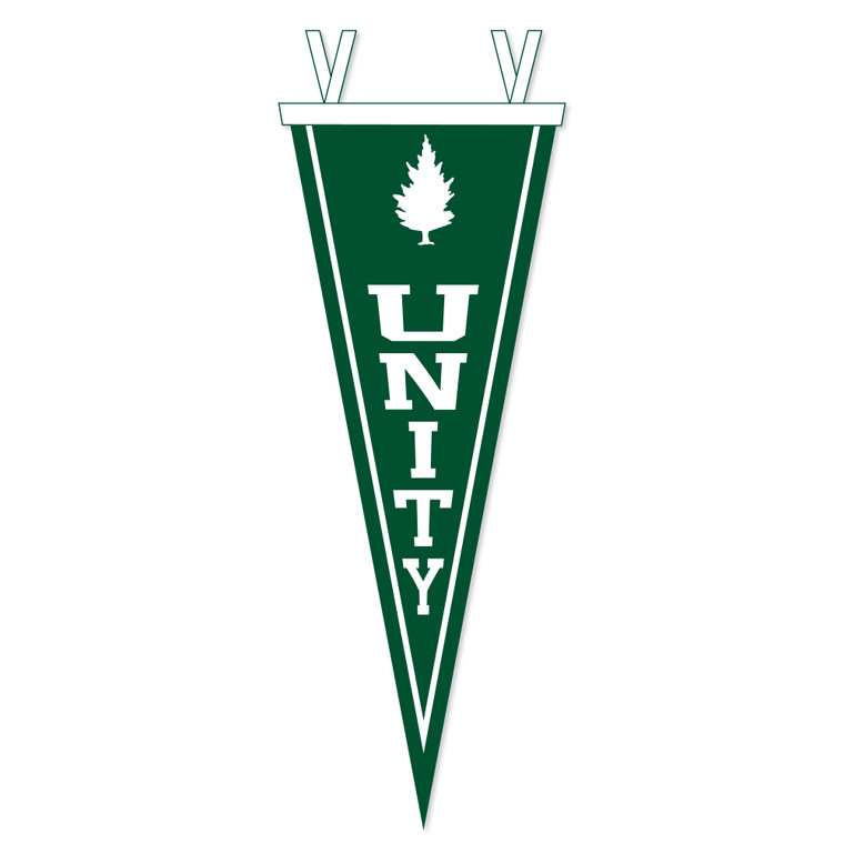 Unity Pennant 9x24