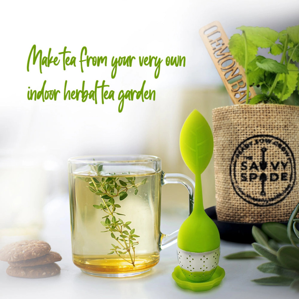 Herbal Tea Garden Kit Unity Store