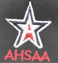 Alabama AHSAA Black Flex-fit Wool 4-stitch Umpire Cap