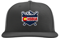 Colorado High School Baseball Umpire Association Black Pulse Umpire Cap