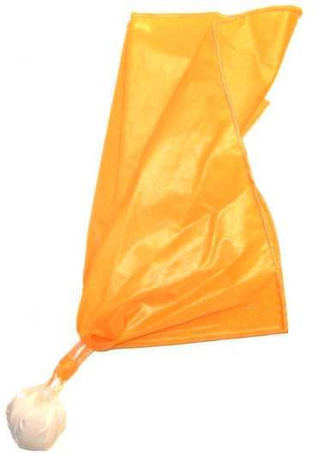 DOUBLE BANDED WHITE BALL PENALTY FLAG