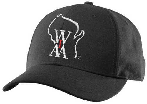 Wisconsin WIAA Black Wool Fitted 6-stitch Combo Umpire Cap