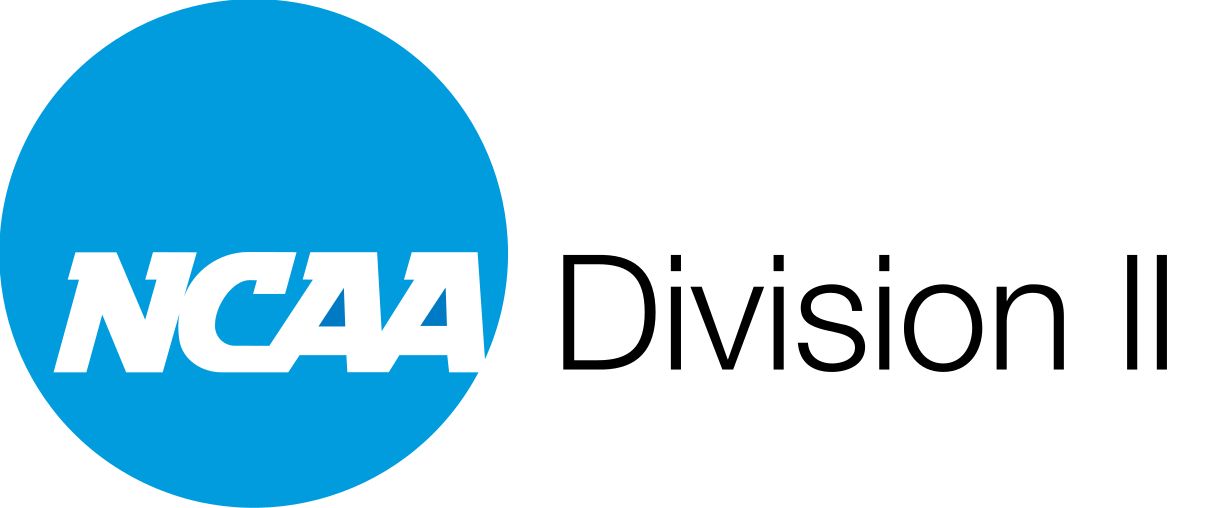 NCAA Division II Baseball/Softball Umpire Hats