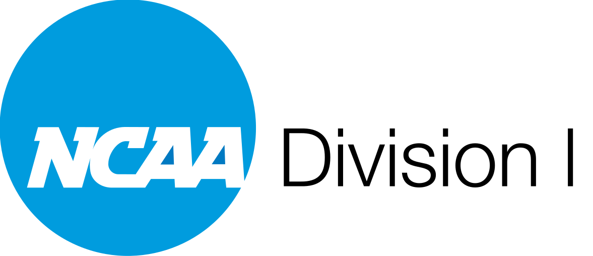 NCAA Division I Baseball/Softball  Umpire Hats