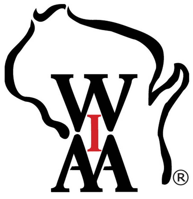Wisconsin WIAA 6-stitch Combo Umpire Caps