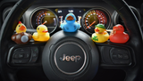 Jeep Ducks:  The Jeep Ducking Revolution