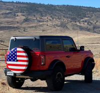 Tire Cover  Ford Bronco
