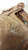 MacGregor Japan BM3P Tony Perez Tan Baseball Glove Big Dipper LHT Unknown Auto?