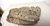 Louisville Slugger LSG10 BIG DADDY Baseball Softball Glove 11.5" RHT