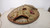 Vtg Pine Matsukan Japan A500 Baseball Glove Mitt Professional Model RHT