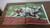 1995 Sports Illustrated Presents Pictures Of The Year NFL & College Football