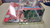 2003 McFarlane NFL Sports Picks Series 7 DAVID CARR Houston Texans Figure f4