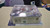 2001 Starting Lineup 2 IVAN RODRIGUEZ Texas Rangers Figure NOS NIP f7