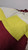 Vtg 90s Apex One NFL Proline Washington Redskins Commanders Puffer Jacket Size S
