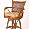 Singapore Barstool in Sienna finish