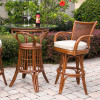 Singapore Barstool in Sienna finish